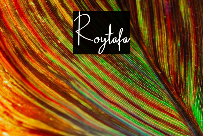 Roytafa Example 1