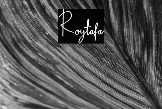 Roytafa Font examples