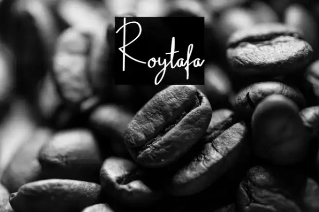 Roytafa Font examples