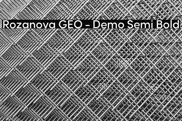 Rozanova GEO - Demo Semi Bold Example 3