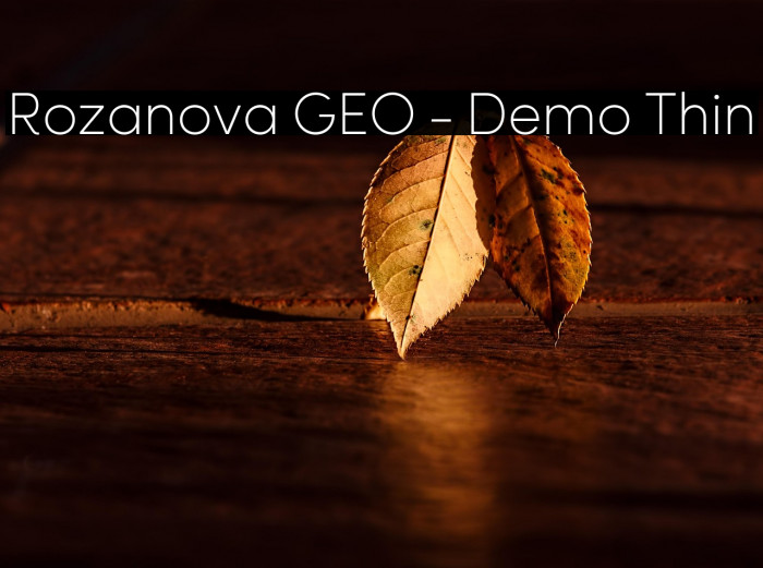 Rozanova GEO - Demo Thin Example 1