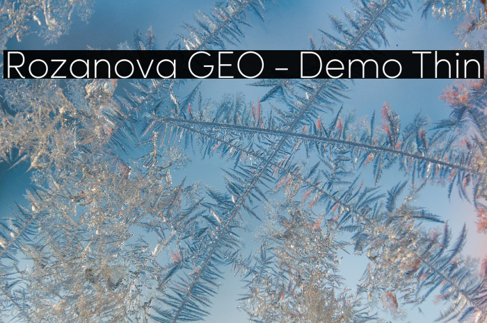 Rozanova GEO - Demo Thin Example 2