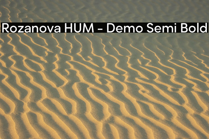 Rozanova HUM - Demo Semi Bold Example 1