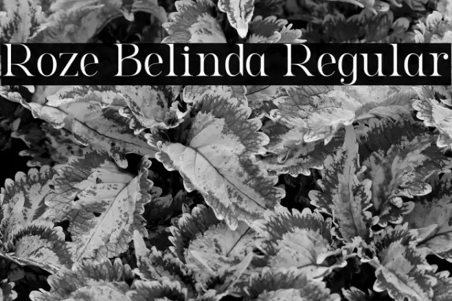 Roze Belinda Regular Font examples