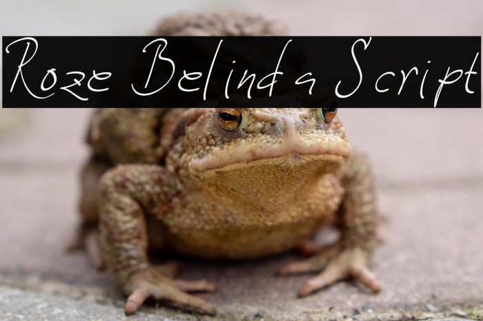 Roze Belinda Script Example 1
