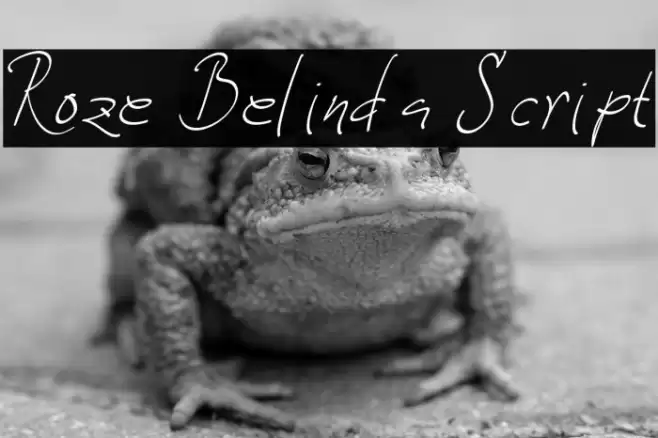 Roze Belinda Script Caratteri examples