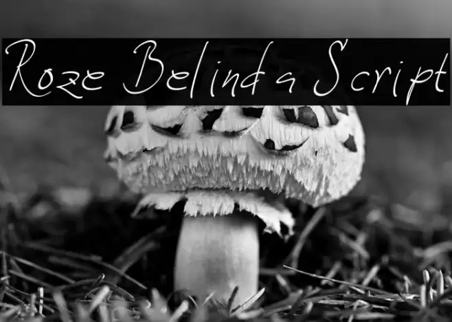 Roze Belinda Script Caratteri examples