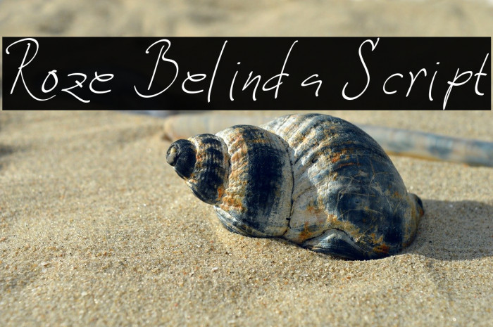 Roze Belinda Script Example 3