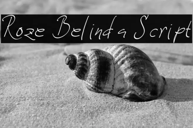 Roze Belinda Script Caratteri examples