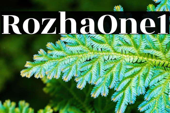 Rozha One1 Example 1