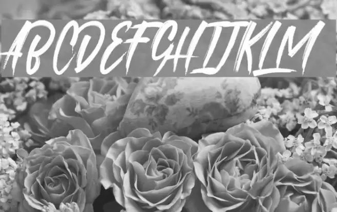 roastinkdemo Font examples