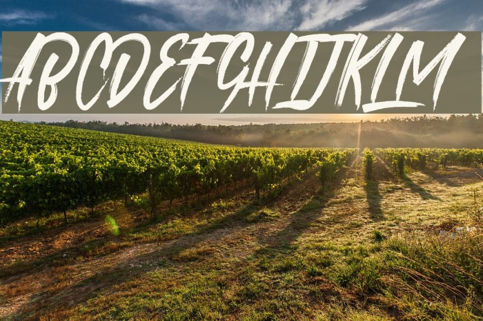 roastinkdemo Font examples