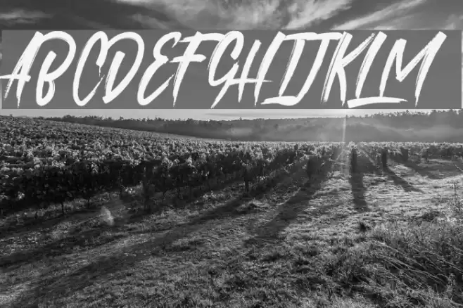 roastinkdemo Font examples