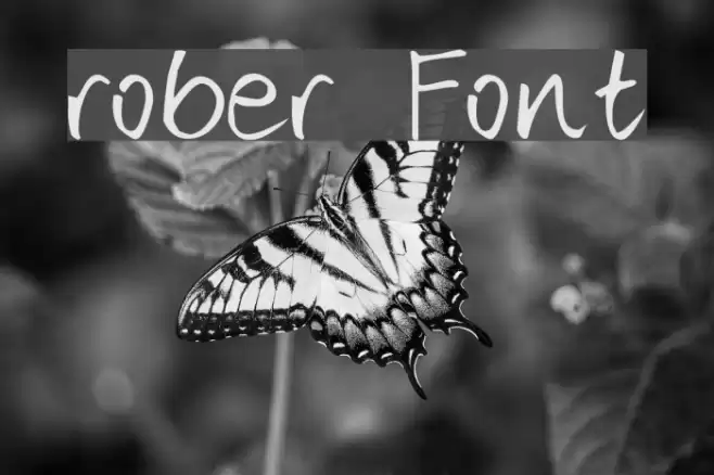 rober Font examples