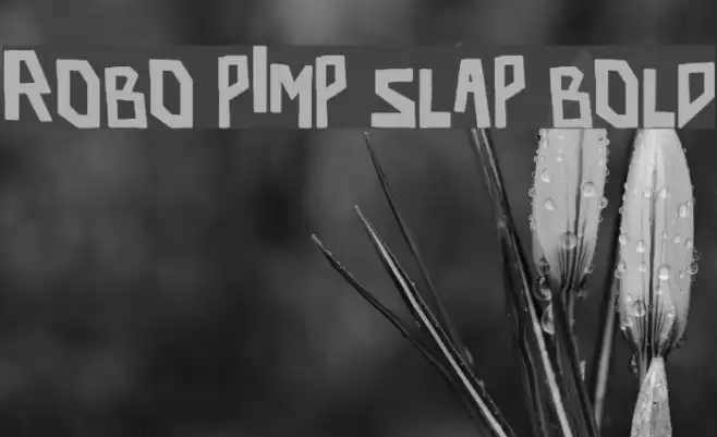 robo pimp slap Bold Font examples