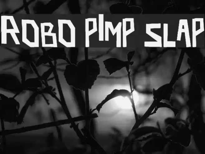 robo pimp slap Font examples