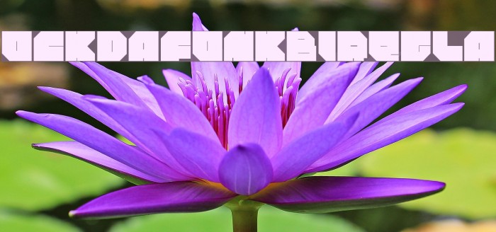 rockdafonkybitRegular Font examples