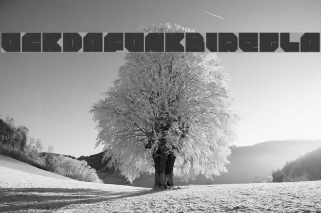 rockdafonkybitRegular フォント examples