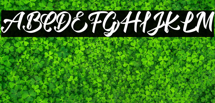 rockies Regular Example 1