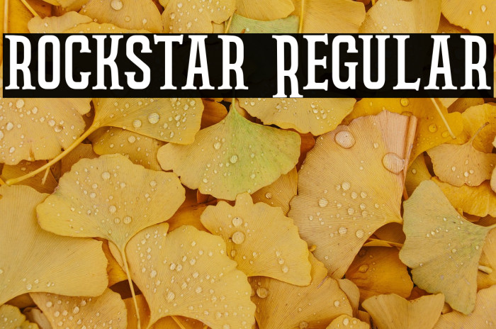 rockstar Regular Example 3