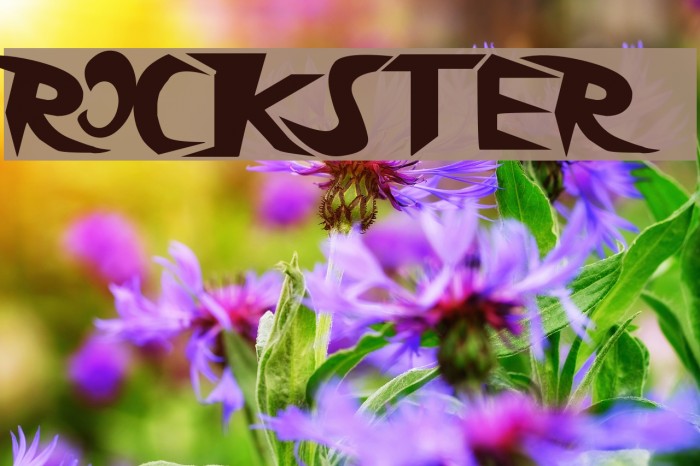 rockster Font examples