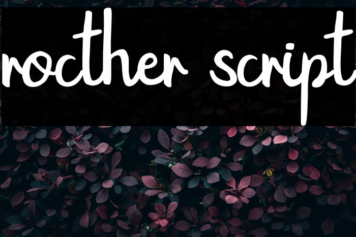 rocther script Example 1