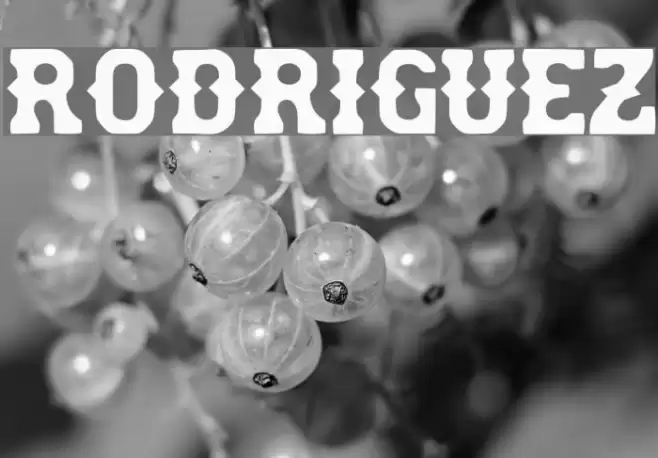 rodriguez Font examples