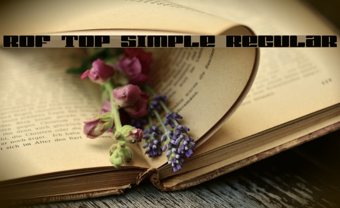 rof top simple Regular Font examples