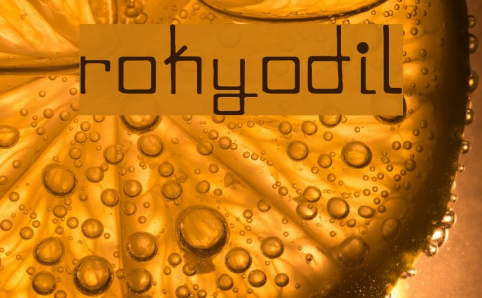 rokyodil Font examples
