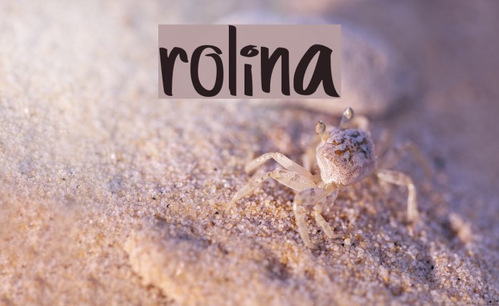 rolina Font examples