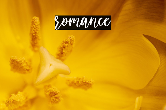 romance Example 1