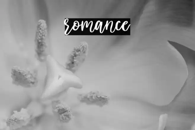 romance Font examples