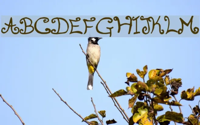 romanticfont2 Example 2
