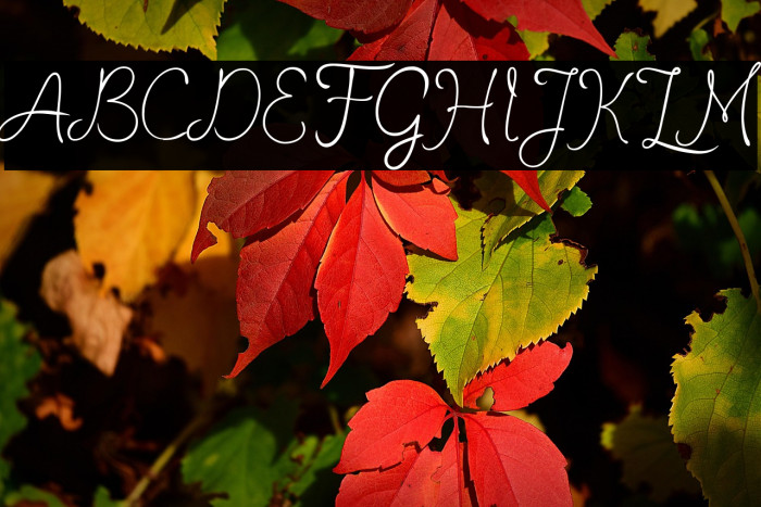 romantisch-personaluse Example 3