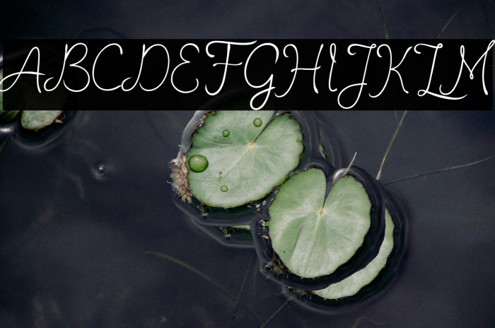 romantisch-personaluse Example 3