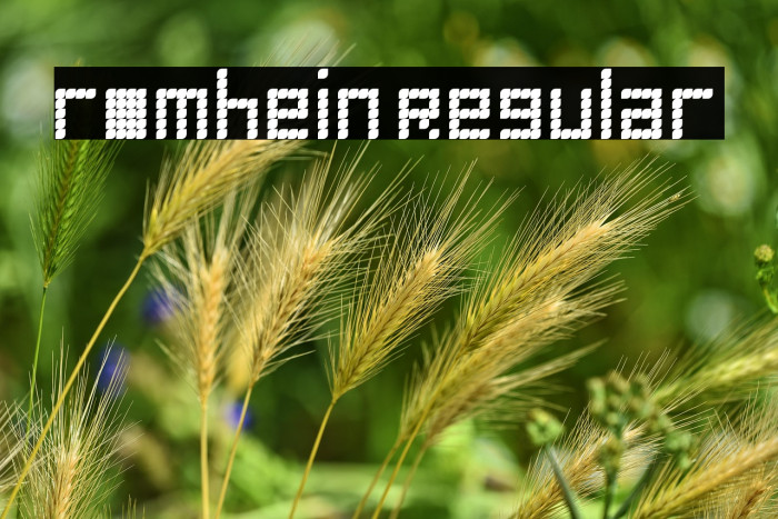 romhein Regular Example 1