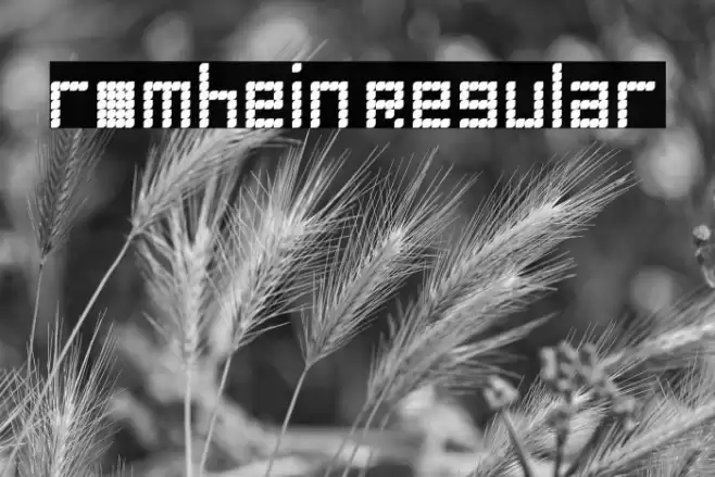 romhein Regular Font examples