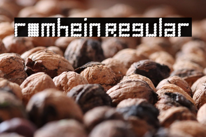 romhein Regular Example 2