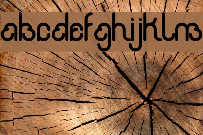 rondi Font examples