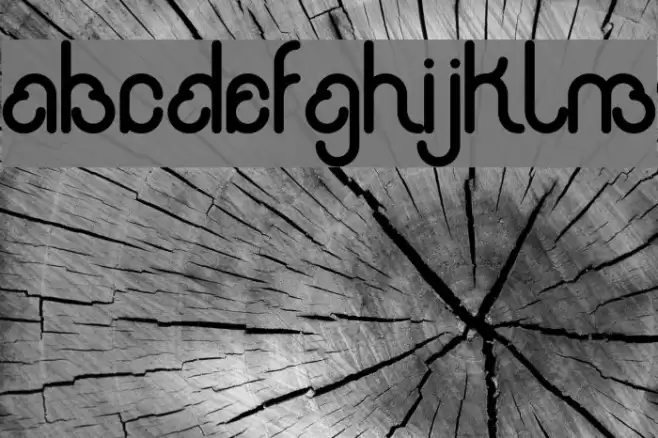 rondi Font examples