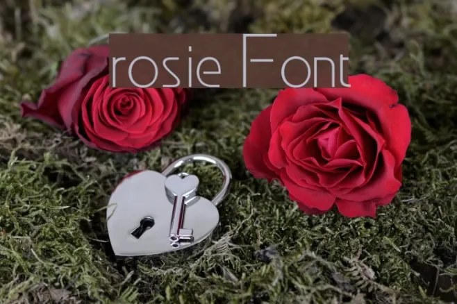 rosie Example 3