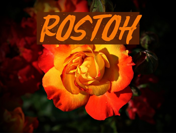 rostoh Example 2