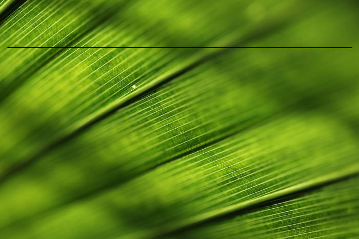 rothenbg Polices examples