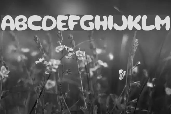 rough Bold Font examples