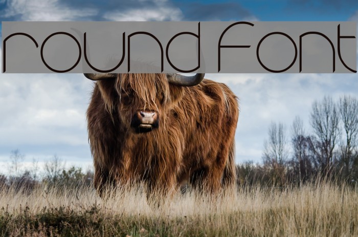 round Font examples