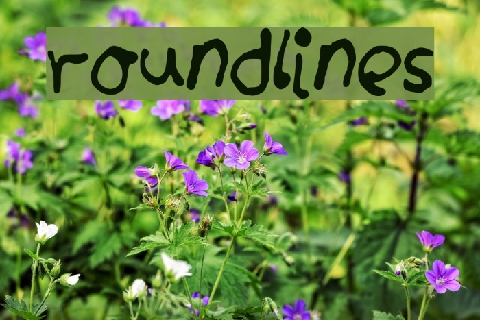 roundlines Font examples