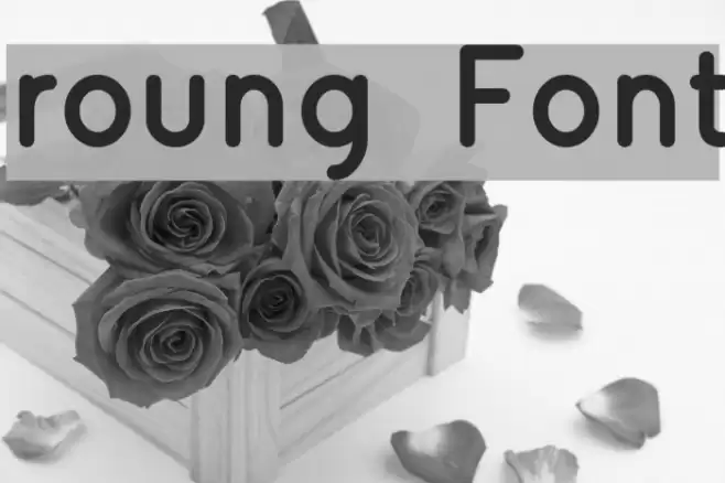 roung Font examples