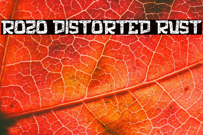 rozo Distorted Rust Example 1