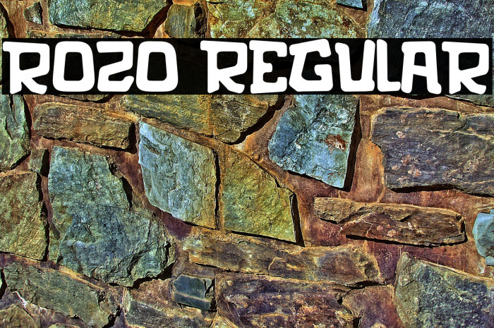 rozo Regular Example 1