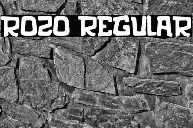 rozo Regular Polices examples